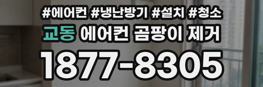 교동 에어컨 곰팡이 제거