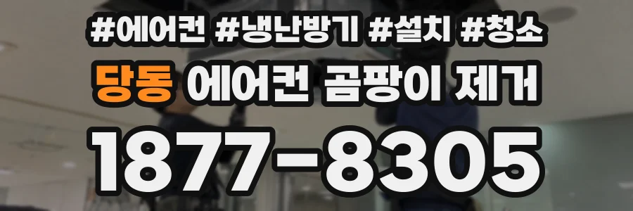 당동 에어컨 곰팡이 제거
