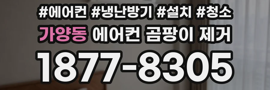 가양동 에어컨 곰팡이 제거