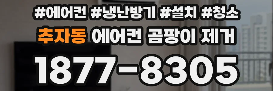 추자동 에어컨 곰팡이 제거