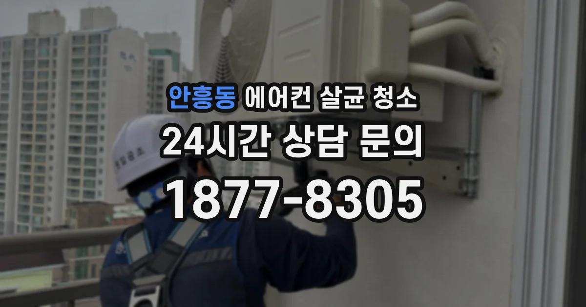 안흥동 에어컨 살균 청소