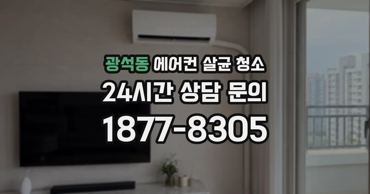 광석동 에어컨 살균 청소