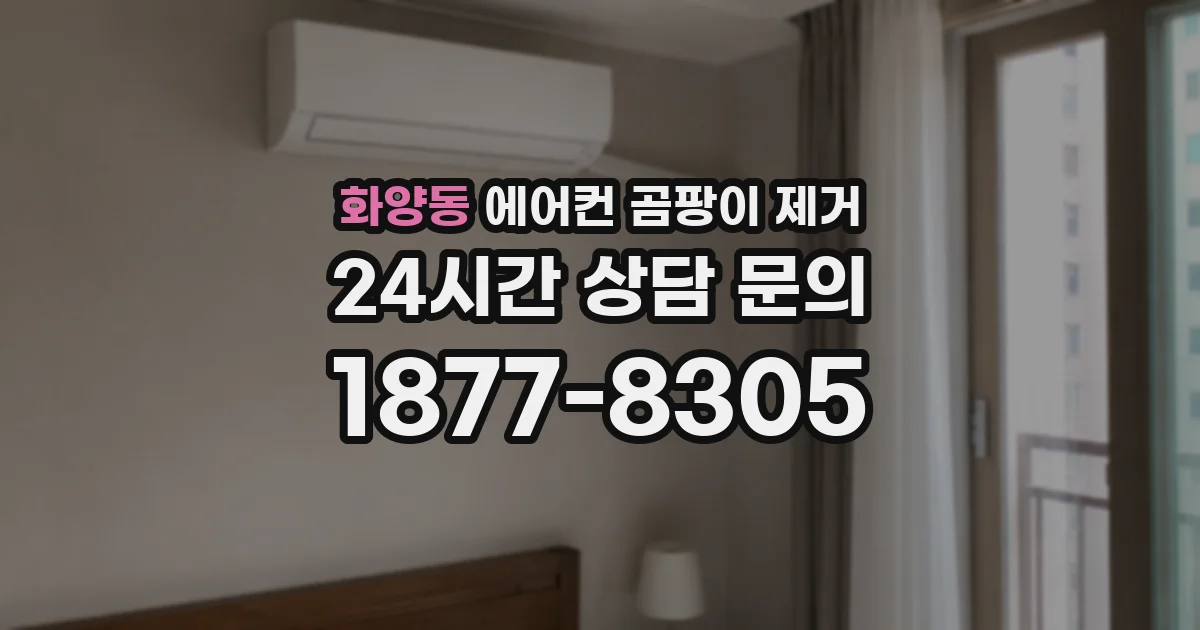 화양동 에어컨 곰팡이 제거