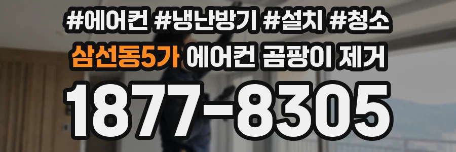삼선동5가 에어컨 곰팡이 제거