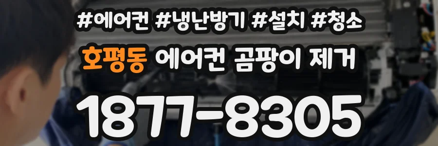 호평동 에어컨 곰팡이 제거