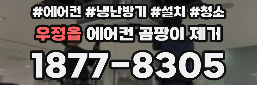 우정읍 에어컨 곰팡이 제거