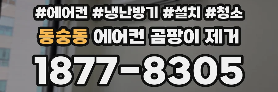 동숭동 에어컨 곰팡이 제거