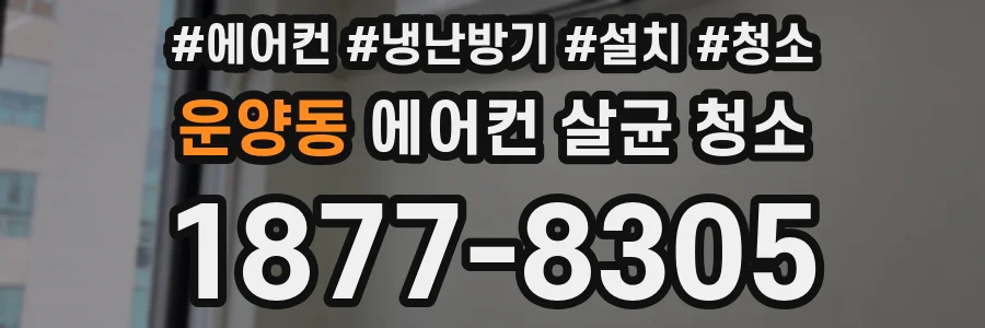 운양동 에어컨 살균 청소