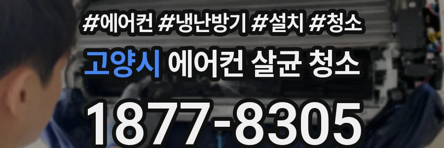 고양시 에어컨 살균 청소