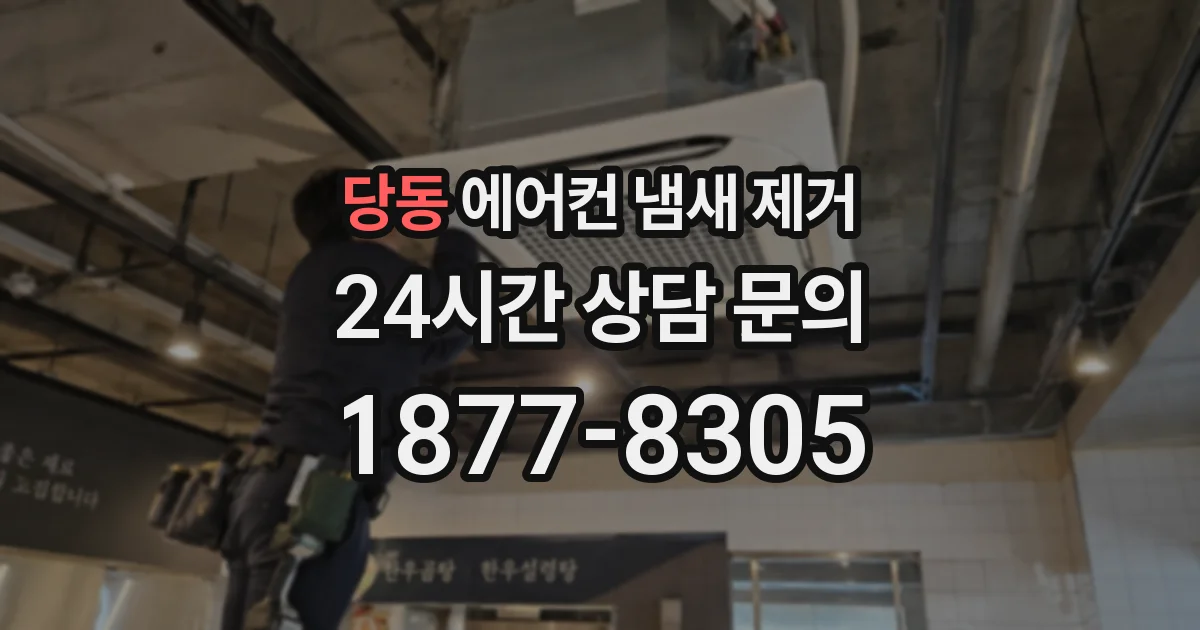 당동 에어컨 냄새 제거