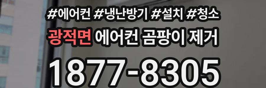 광적면 에어컨 곰팡이 제거
