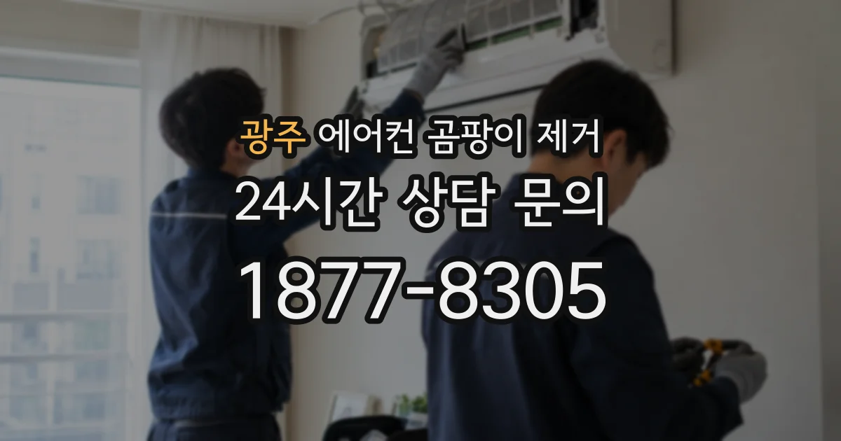 광주 에어컨 곰팡이 제거