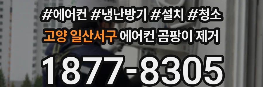 고양 일산서구 에어컨 곰팡이 제거