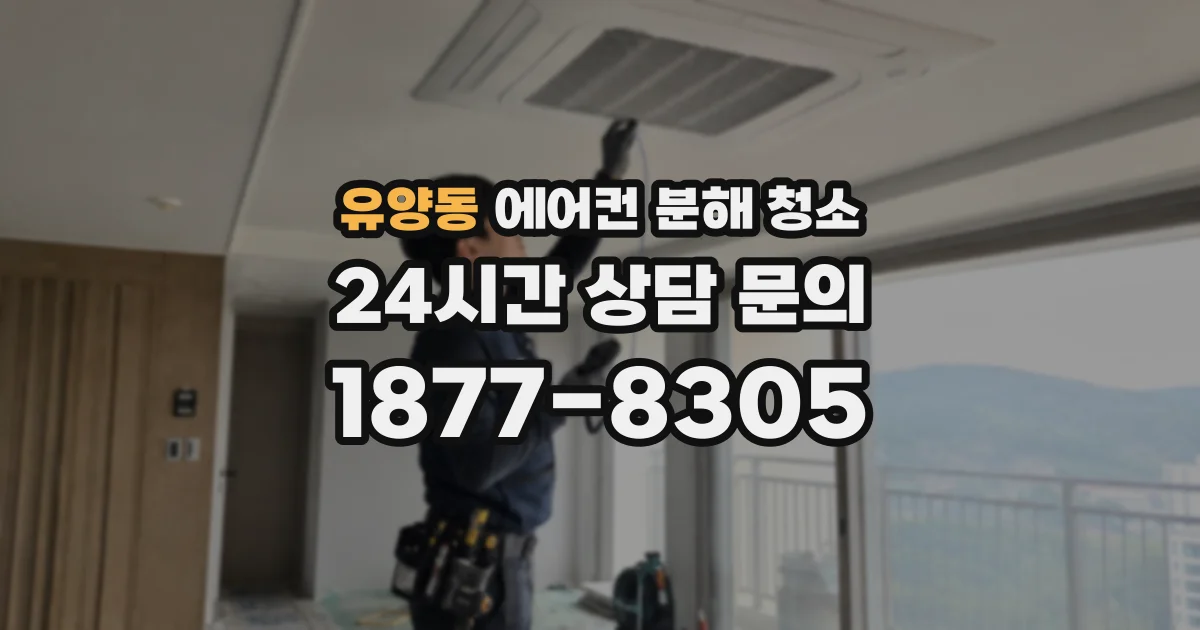 유양동 에어컨 분해 청소