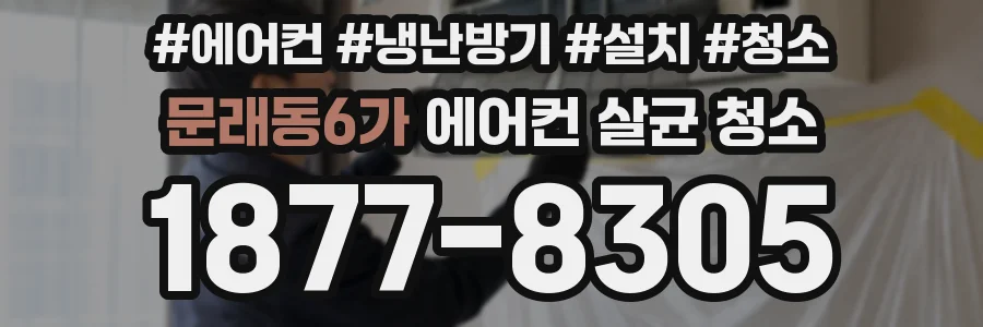 문래동6가 에어컨 살균 청소