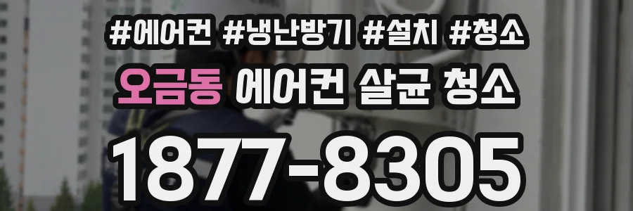오금동 에어컨 살균 청소