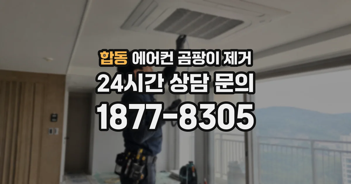 합동 에어컨 곰팡이 제거
