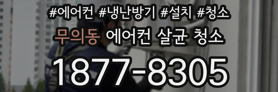 무의동 에어컨 살균 청소
