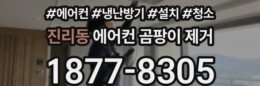 진리동 에어컨 곰팡이 제거
