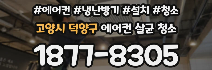 고양시 덕양구 에어컨 살균 청소