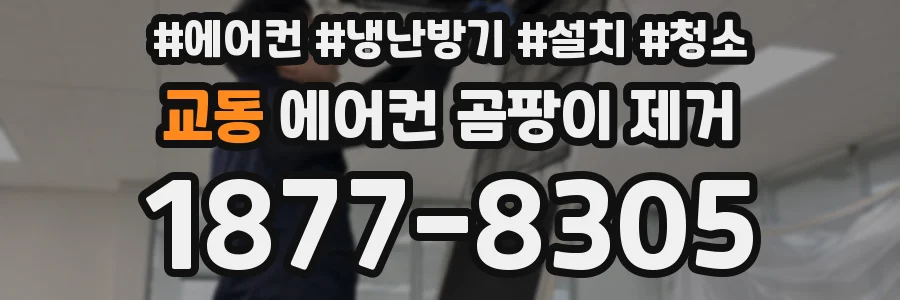 교동 에어컨 곰팡이 제거