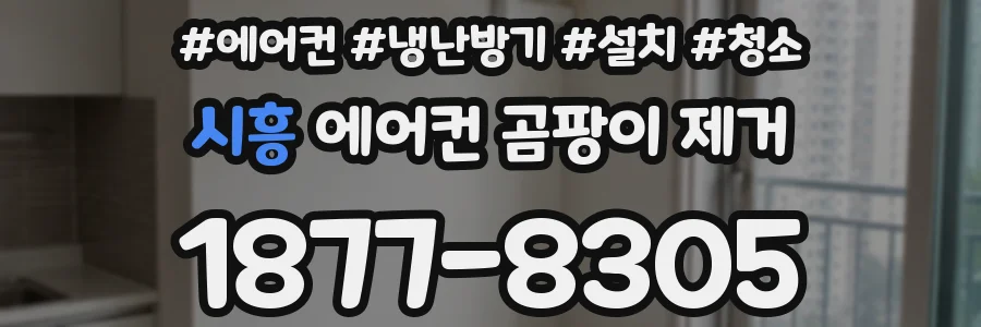 시흥 에어컨 곰팡이 제거