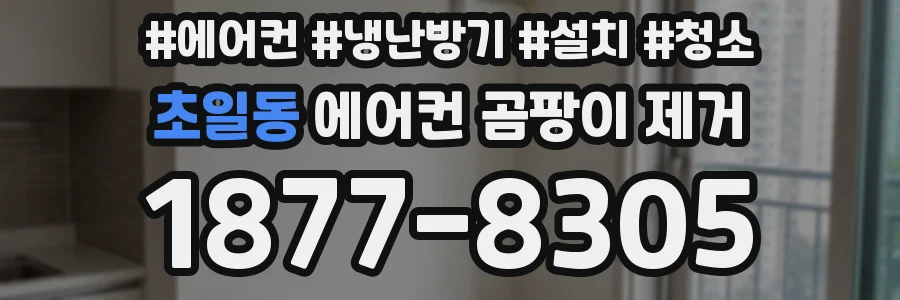 초일동 에어컨 곰팡이 제거
