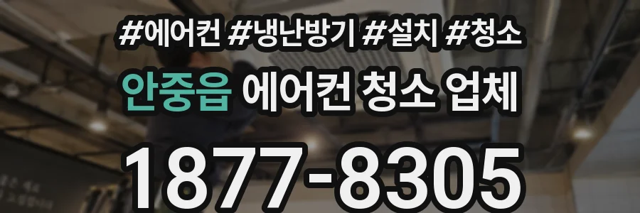 안중읍 에어컨 청소 업체
