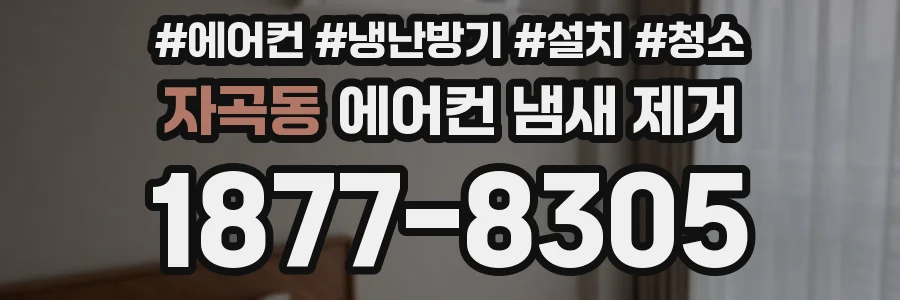 자곡동 에어컨 냄새 제거