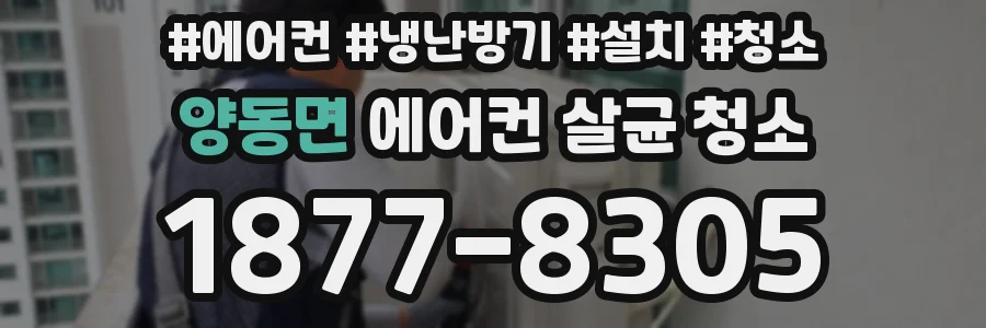 양동면 에어컨 살균 청소