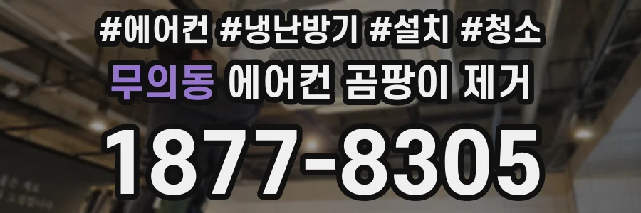 무의동 에어컨 곰팡이 제거
