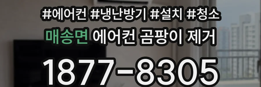 매송면 에어컨 곰팡이 제거