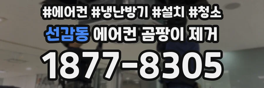 선감동 에어컨 곰팡이 제거