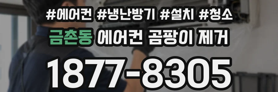 금촌동 에어컨 곰팡이 제거