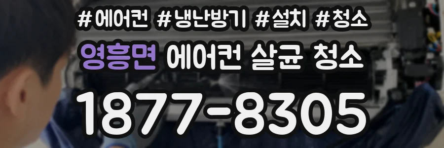 영흥면 에어컨 살균 청소