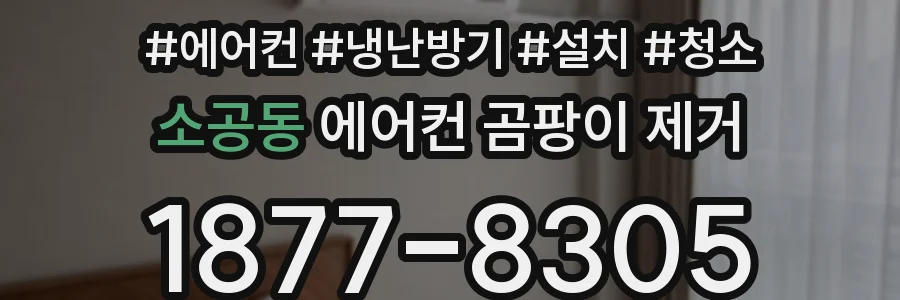 소공동 에어컨 곰팡이 제거