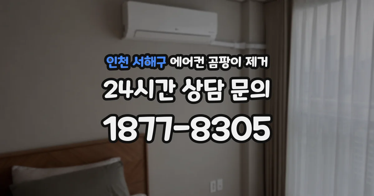 인천 서해구 에어컨 곰팡이 제거