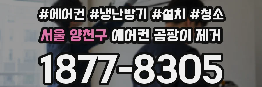 서울 양천구 에어컨 곰팡이 제거