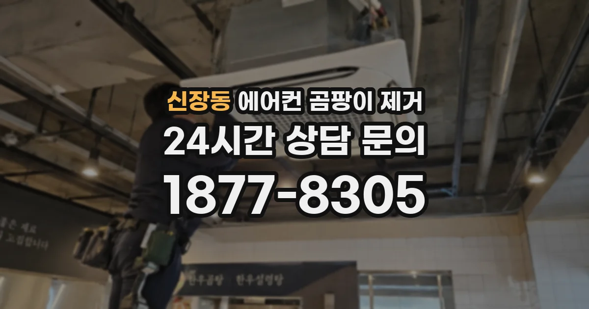 신장동 에어컨 곰팡이 제거