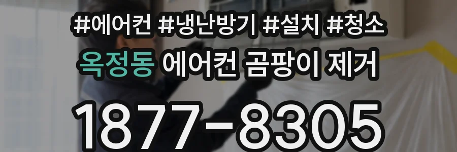 옥정동 에어컨 곰팡이 제거