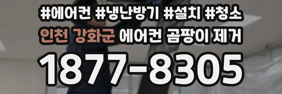 인천 강화군 에어컨 곰팡이 제거