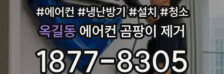 옥길동 에어컨 곰팡이 제거
