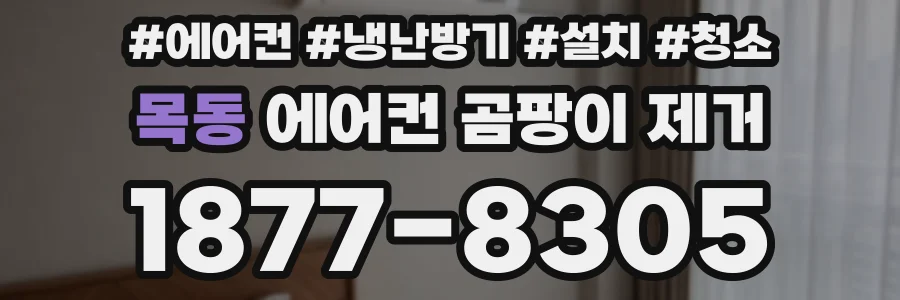 목동 에어컨 곰팡이 제거