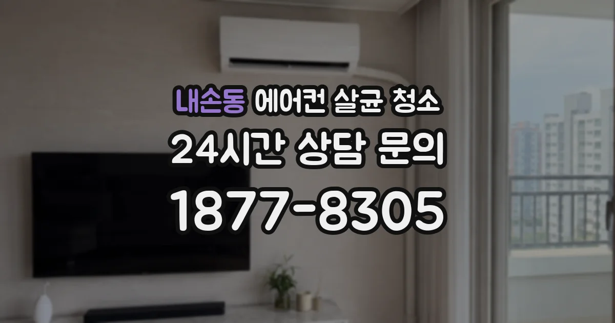 내손동 에어컨 살균 청소
