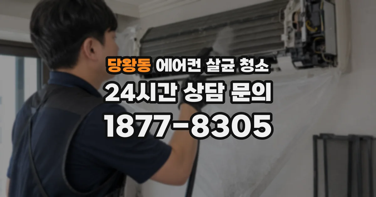 당왕동 에어컨 살균 청소