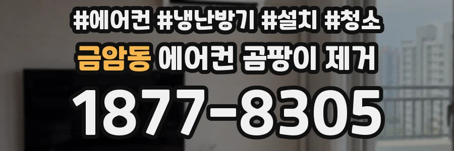 금암동 에어컨 곰팡이 제거