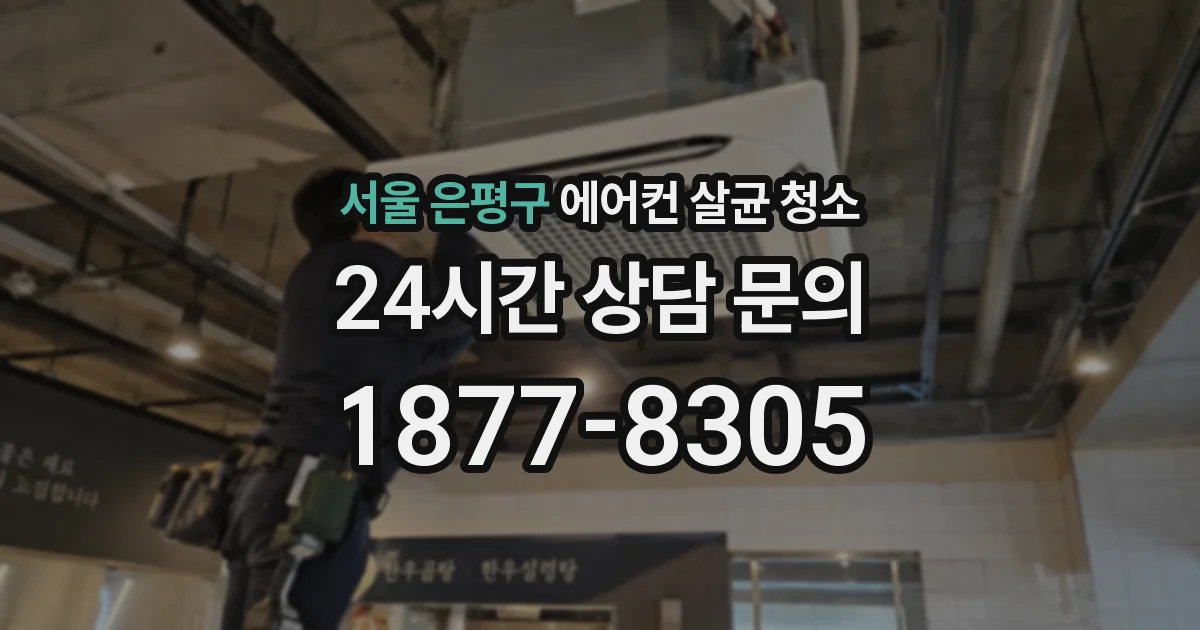 서울 은평구 에어컨 살균 청소