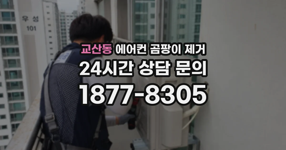 교산동 에어컨 곰팡이 제거