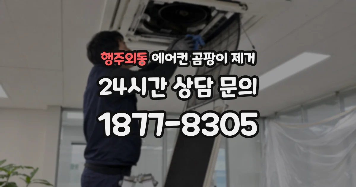 행주외동 에어컨 곰팡이 제거