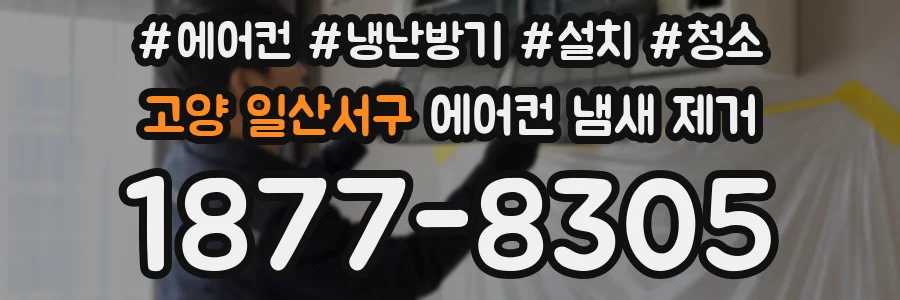 고양 일산서구 에어컨 냄새 제거
